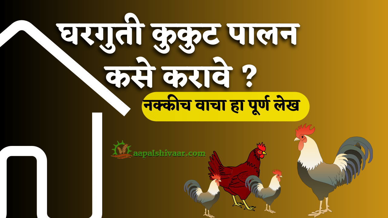 घरगुती कुकुट पालन कसे करावे ? आणि कमवावे लाखों रुपये / How to do Poultry farming at home and earn millions of rupees