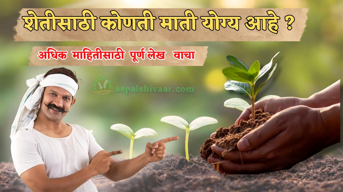 Which soil is suitable for agriculture ? / शेतीसाठी कोणती माती योग्य आहे ?