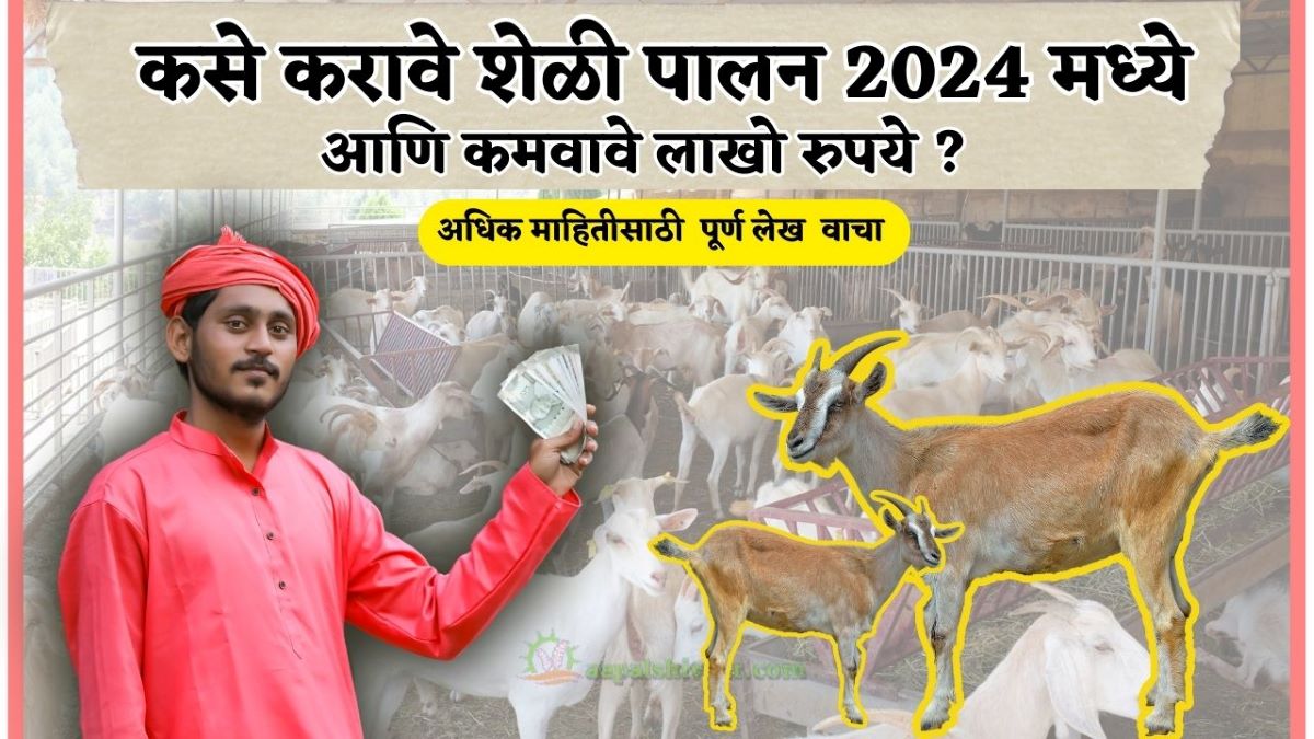 कसे करावे शेळी पालन 2024 मध्ये ( goat farming in 2024 )  आणि कमवावे लाखो रुपये ?